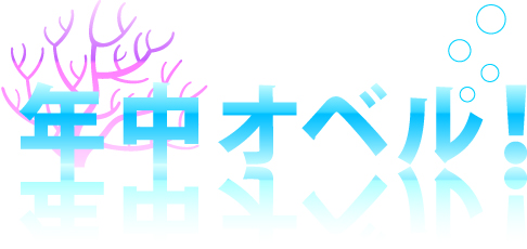 年中オベル！